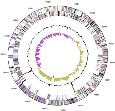 The Complete Genome Sequence of Hyperthermophile Dictyoglomus turgidum DSM 6724™ Reveals a Specialized Carbohydrate Fermentor